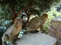 moi et nassim et djemel moi et nassim et djemel