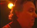 stone wolf performs wild cherrys play that funky music