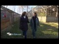C À Savoir  les Animaux Et Les Nouvelles Technologies  Au Parc De Sainte-croix, Fevrier 2012
