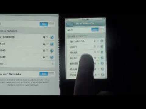 how to obtain dhcp lease