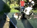 XMW-Loco Tribute