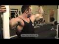 Biceps by Andreas Frey