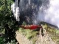 CLAVADO DE CHOKO EN PARQUE URUAPAN MICH