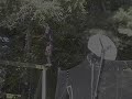 jumplins