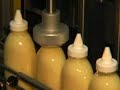 Web Commercial Promotional Video,