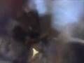 videos de 11-29-08_2025[1]