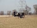 Dakota Driving Cart