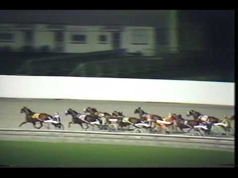 1980 Niatross