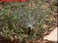 How To Repair Lawn Sprinkler Systems