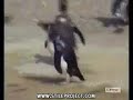 pinguin auf drogen