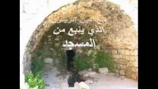 عين الزيتون