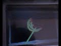 04Dasher Shows you World Of sand