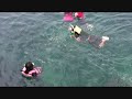 Swimming with the Fishes
