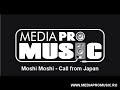 Call from Japan (radio edit)