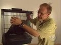 Alton Brown Fried Turkey 1/3