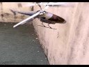 Airy Harden Blade II for ESKY/Walkera Coaxial Helicopter Airy Harden Blade II for ESKY/Walkera Coaxial Helicopter