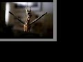 Dragon Flyer