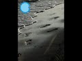 Ozone 23 - Ollos de beiramar