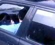 06 GLF 62 (İPEK OTO) E30 3,25