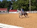 Ashley & Bugs, Barrel Racing in the Open 3D