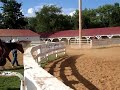Ashley & Bugs, Barrel Racing in the Open 3D