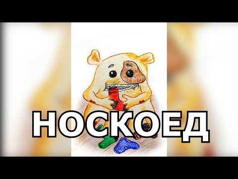 video-show