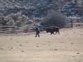 BFC: Bison Execution 2/14/06
