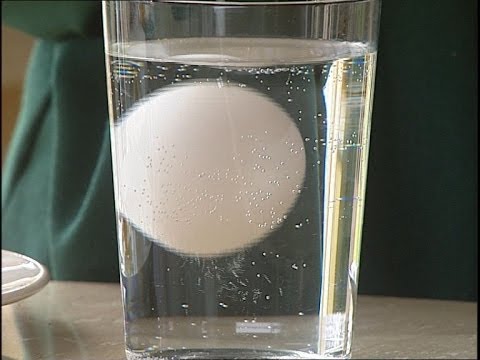 video-linktoworks-How to tell an egg is fresh - Delia's How to Cook - BBC ...