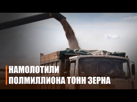 На Мозырщине убрали 77% полей видео
