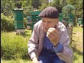 Old man being attacked by bees.