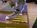 Lucky Genius Cat