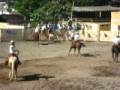 eduardo anguiano VS la mantequilla (debut en charreada)