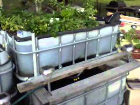 IBC conversion systems