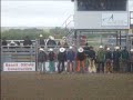 cody snyders bull busting introductions cody snyders bull busting introductions