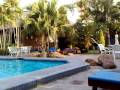 Garden Pool Hotel The Cottage Pattaya Thailand Walkingstreet Bangkok Phuket Koh Samui Songkran Krabi
