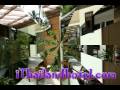 Evergreen Resort Koh Samui Surat Thani