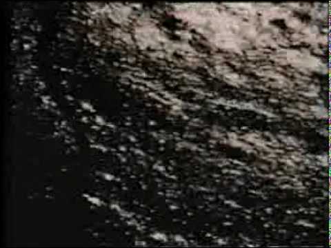 Guarda il video