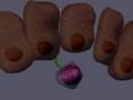 T cell   lymphocyte