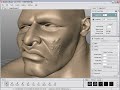 Mudbox Mirror Layer Asym