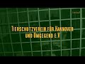 Click here to watch this video Waschbär auf abwegen... - Tierheim Hannover
