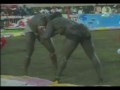 yekini / tyson