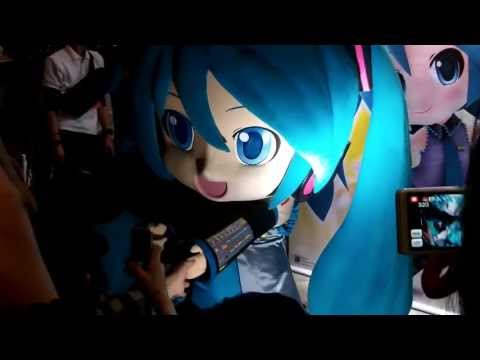 動画