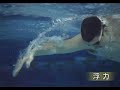 Michael Phelps and Chris Tompson freestyle stroke