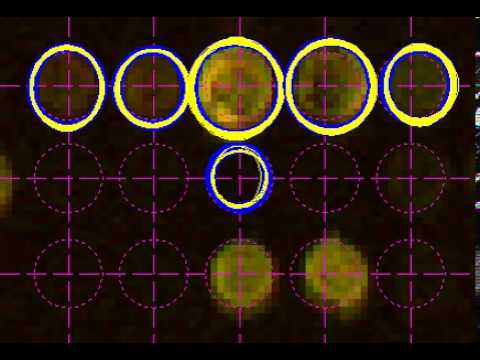 Video of Variational Importance Sampler Operating