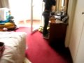 Lisszabon csodasz�p