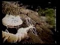 Star Wars Vintage KENNER Commercial - Millenium Falcon / Tie Star Wars Vintage KENNER Commercial - Millenium Falcon / Tie