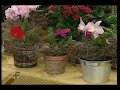 Mini-flores Santaflora no programa da Ione Borges - Parte 1