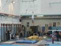 videos de Campionato 