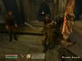My system running Oblivion! Some Cheats Included