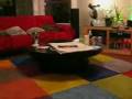 videos de stupid cat